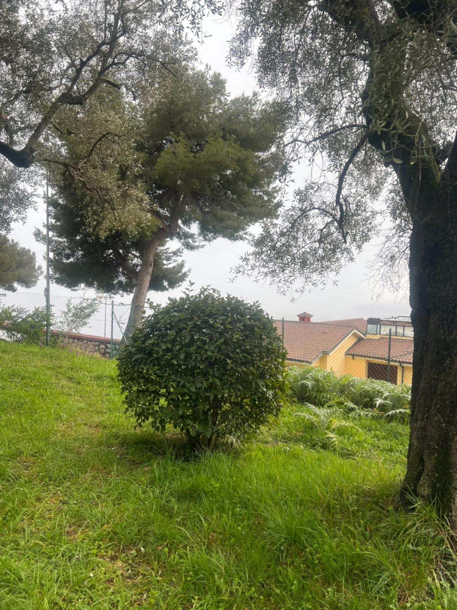 Bas De Villa Vue Mer Eze Village المظهر الخارجي الصورة