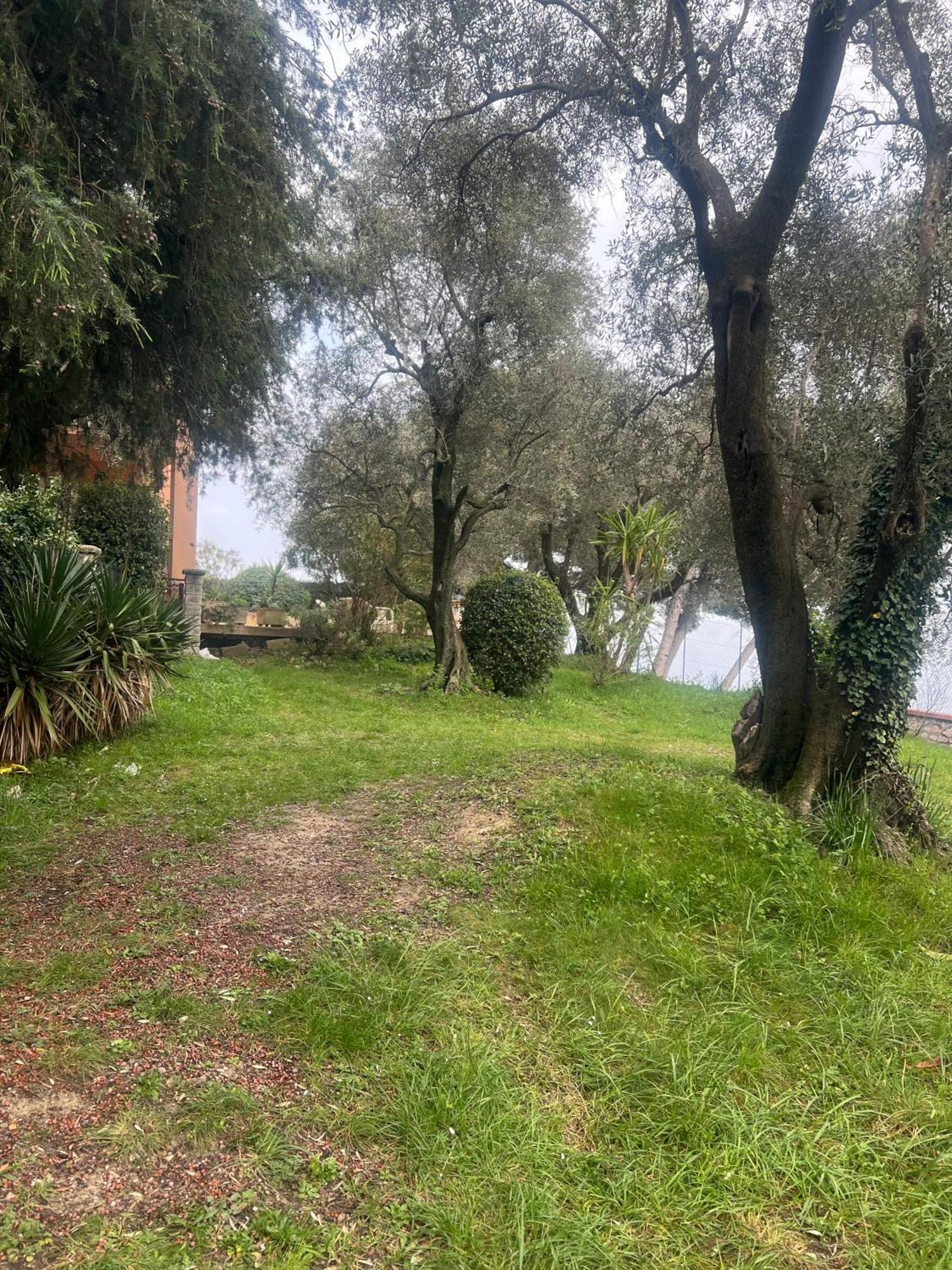 Bas De Villa Vue Mer Eze Village المظهر الخارجي الصورة